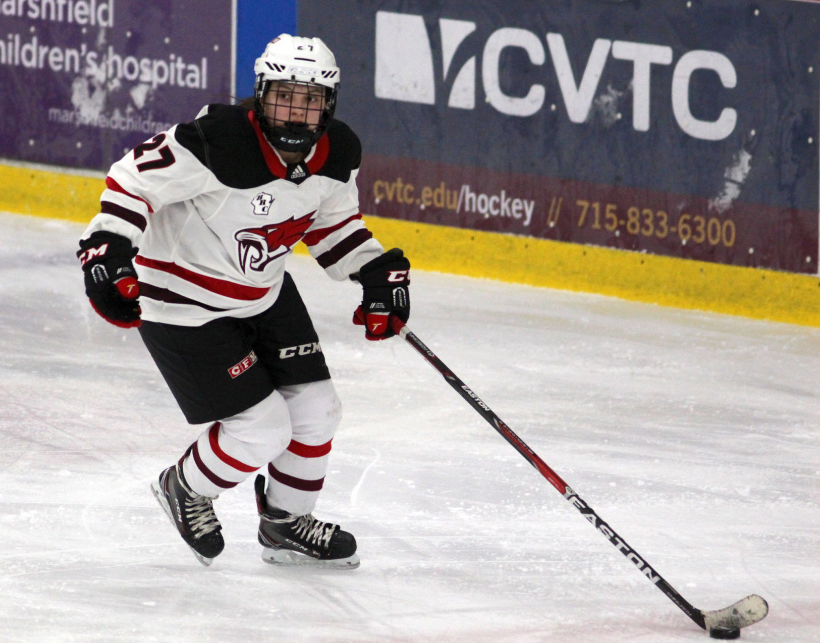 Medford at Chippewa Falls/Menomonie girls hockey 1-30-20